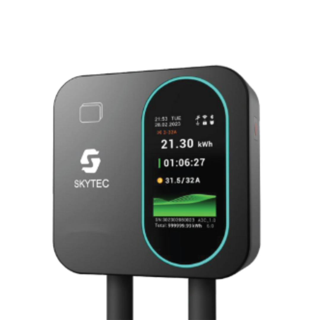 Skytec Mini LCD 電動車充電器 (淨機價不連安裝) - DSG Home - IPEShop